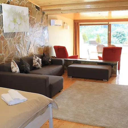 تاسليهان فندق 3*