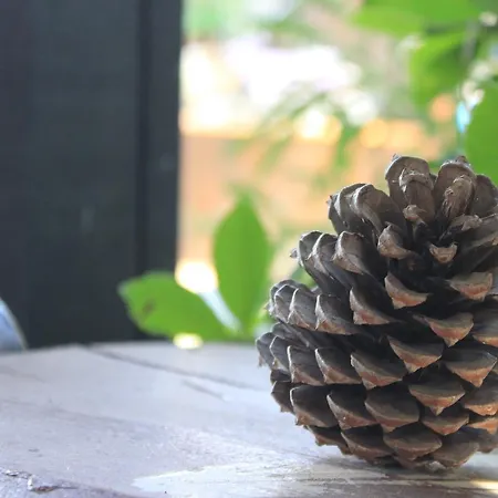 Taslihan Отель Anadolufeneri