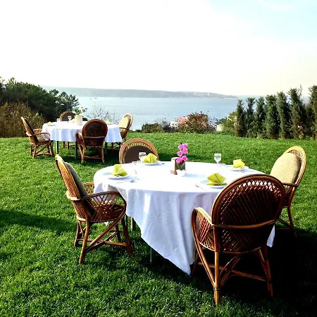 فندق تاسليهان