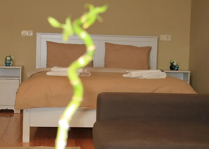 Hotel Taslihan Anadolufeneri