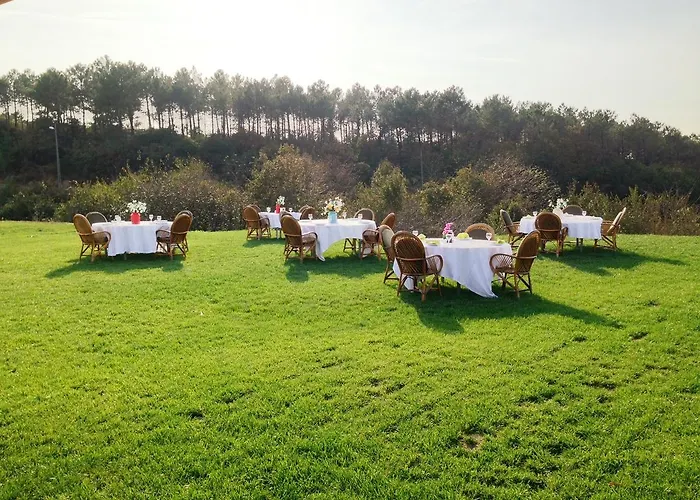 Hotel Taslihan Anadolufeneri