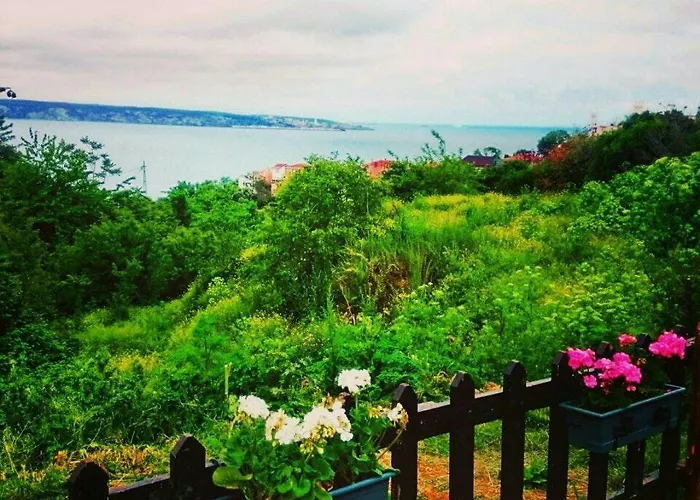 Hotel Taslihan Anadolufeneri